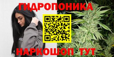 соль курить ск Аргун