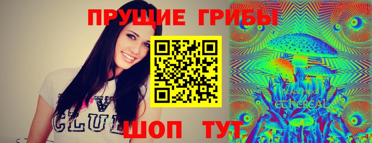 Псилоцибиновые грибы Psilocybe Полысаево