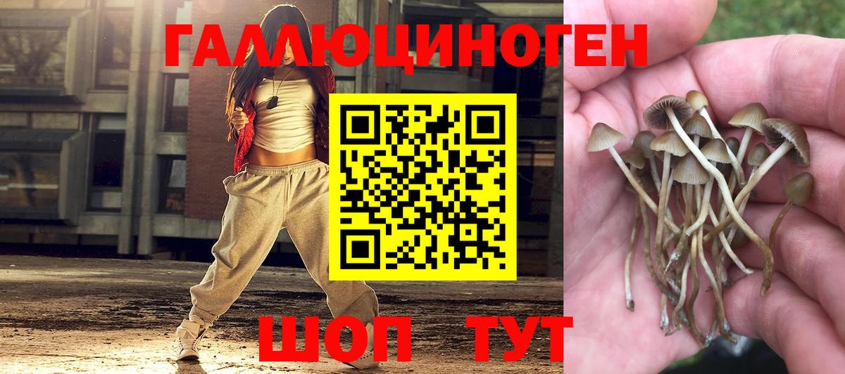 наркошоп  Вход с VPN  Полысаево  Псилоцибиновые грибы Cubensis 