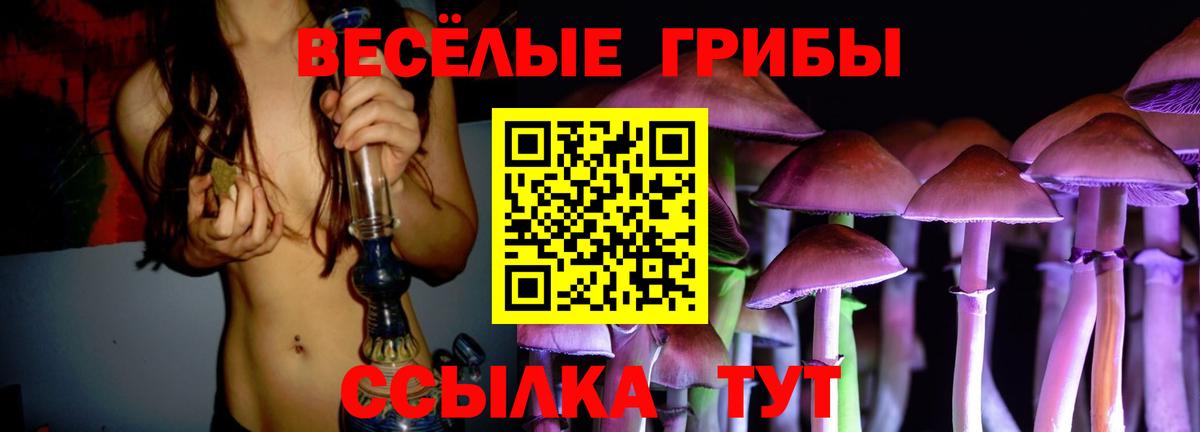 Псилоцибиновые грибы мухоморы  Полысаево 